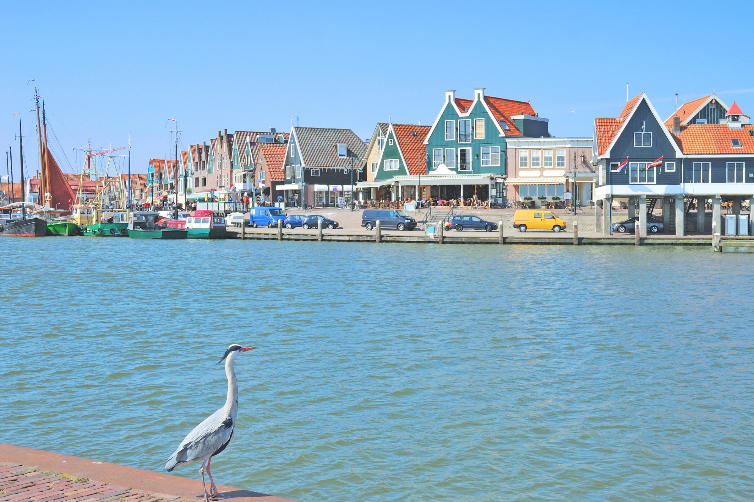 85 volendam.webp